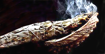 Bâton de sauge blanche Shasta - long