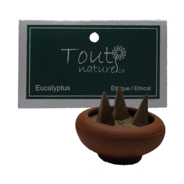 Encens en cônes (10) - eucalyptus