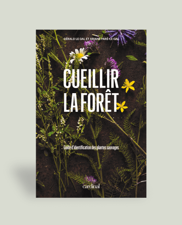 Ceuillir la foret