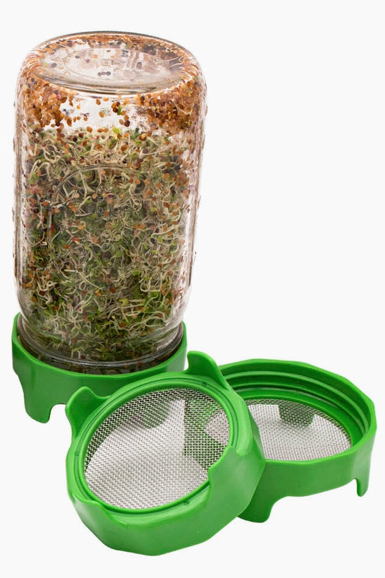 Couvercle pour germination avec support intégré