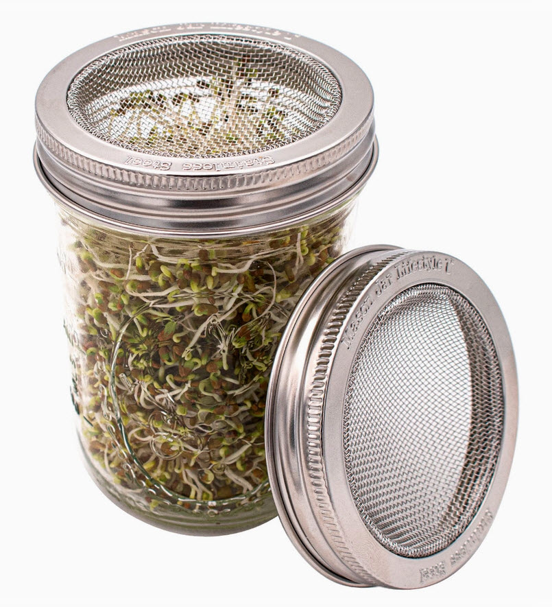 Couvercle pour germination incurvé pour pot masson - large ouverture