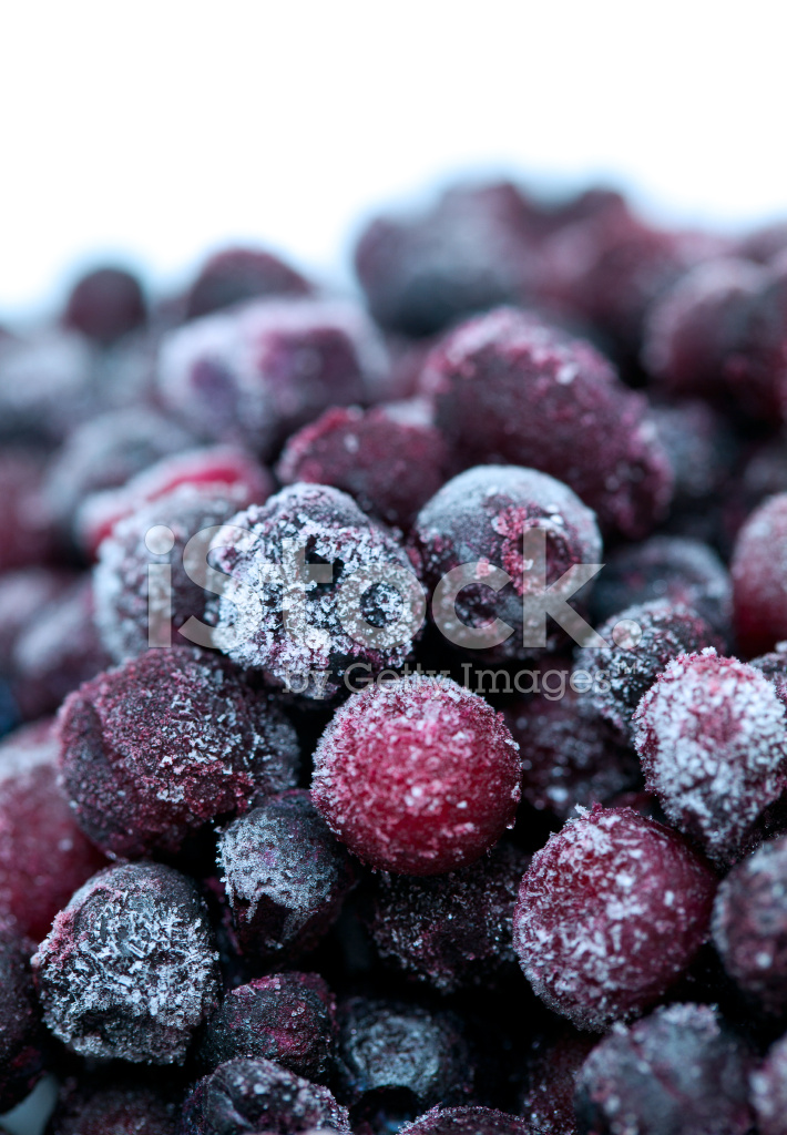 Bleuets sauvages - Gourmet Sauvage (2 KG)