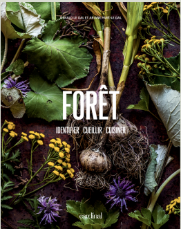 FORÊT identifier, cueillir, cuisiner