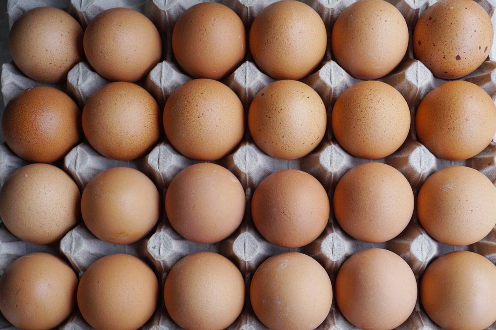 Oeufs bio de poules - FREE RANGE (unité)