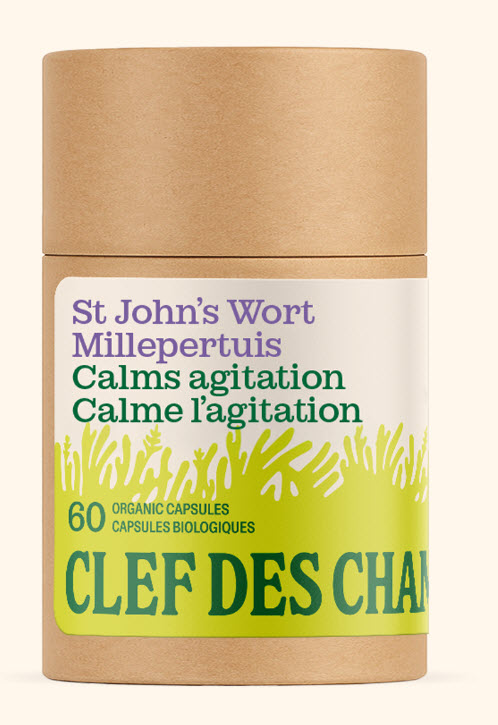 Extrait de millepertuis (60 capsules)