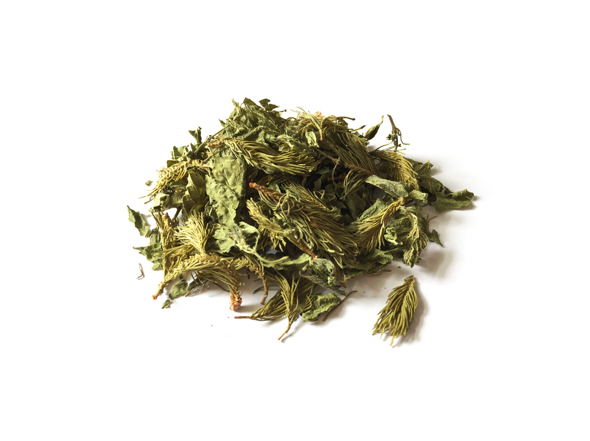 Tisane CENTAURE (30 gr)