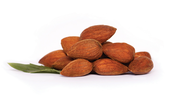 Amandes au tamari (100 g)