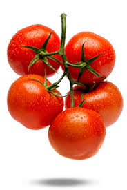 Tomates vigne (lb)