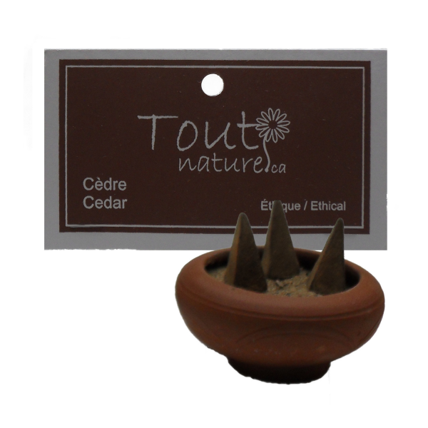 Encens en cônes (10) - Cannelle Orange