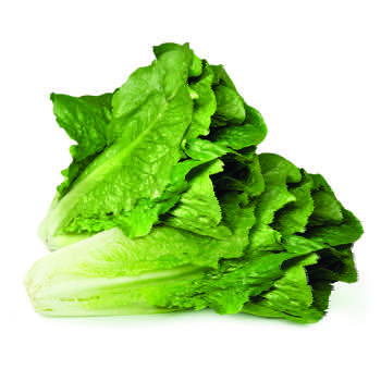 Laitue coeurs de romaine (paquet de 3)