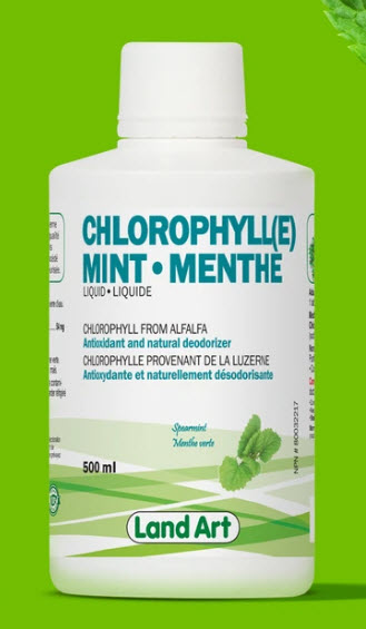 Chlorophylle liquide Menthe concentré 5x (500 ml)