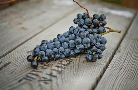 Raisins bleu (2 L)