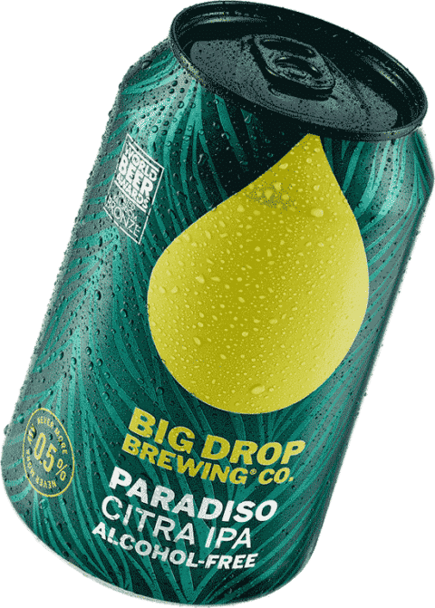 Bière sans alcool Paradiso (330 ml)