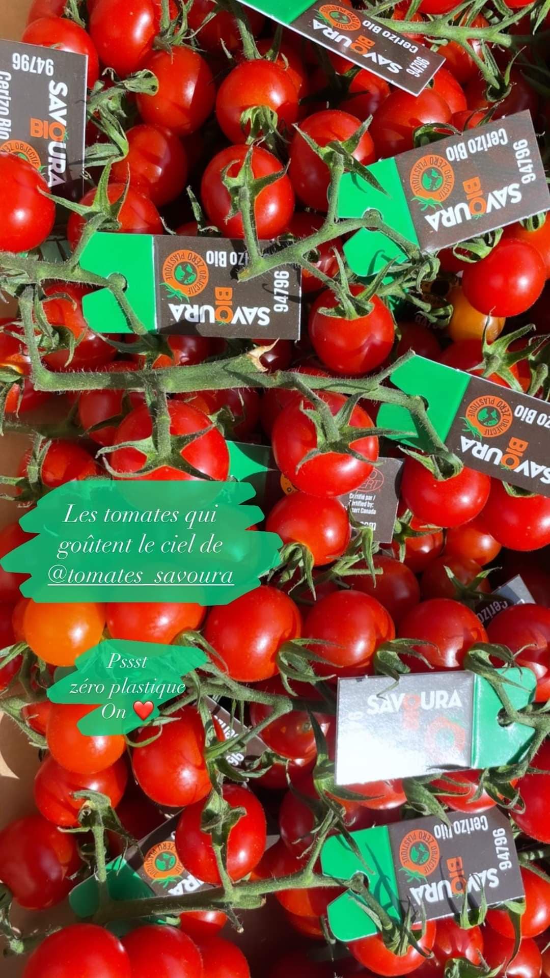 Tomates cérizo ou cerises (lb)