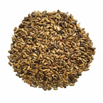 Chardon marie graines (100 g)