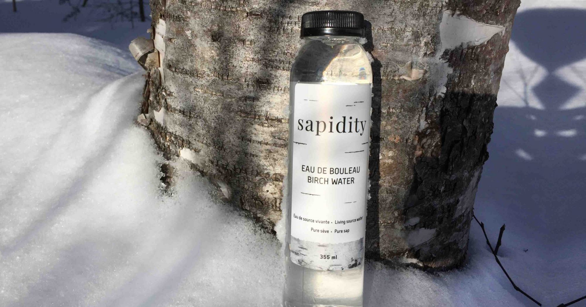 Eau de bouleau (300 ml)