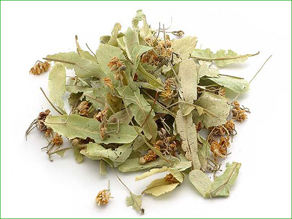 Tilleul fleur et bractée (100 gr)