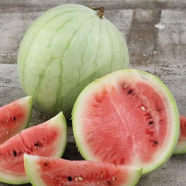 Melon King and Queen winter (25 semences)
