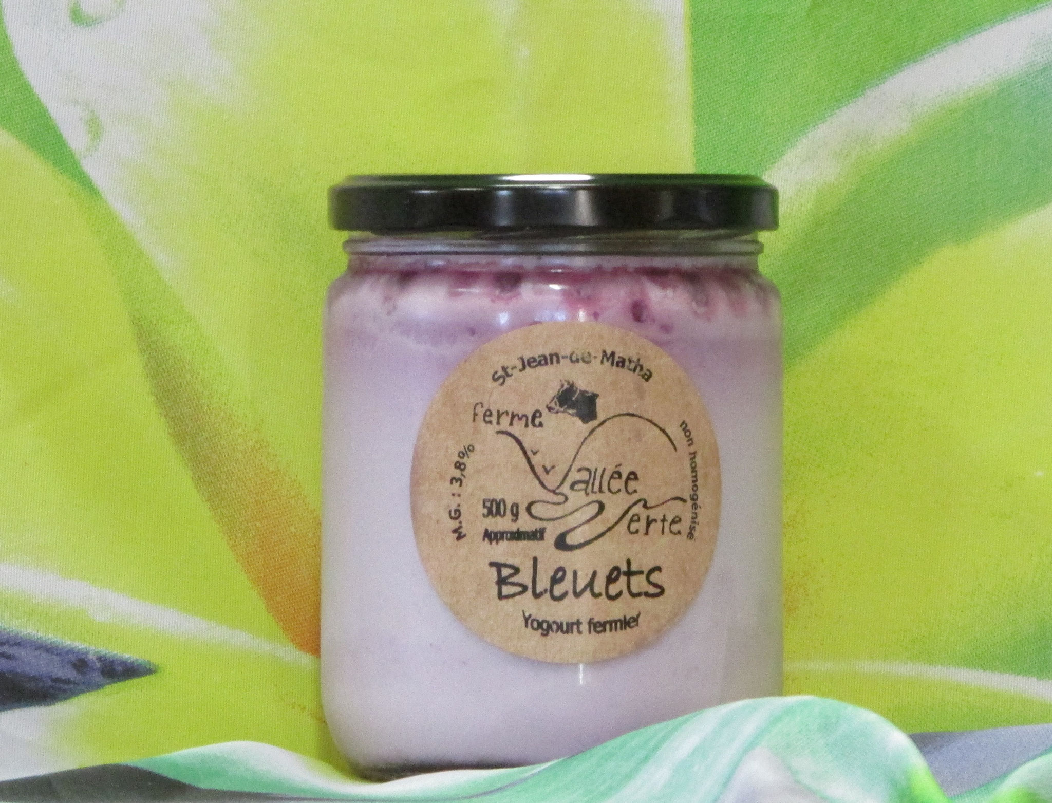yogourt bleuets (500gr)