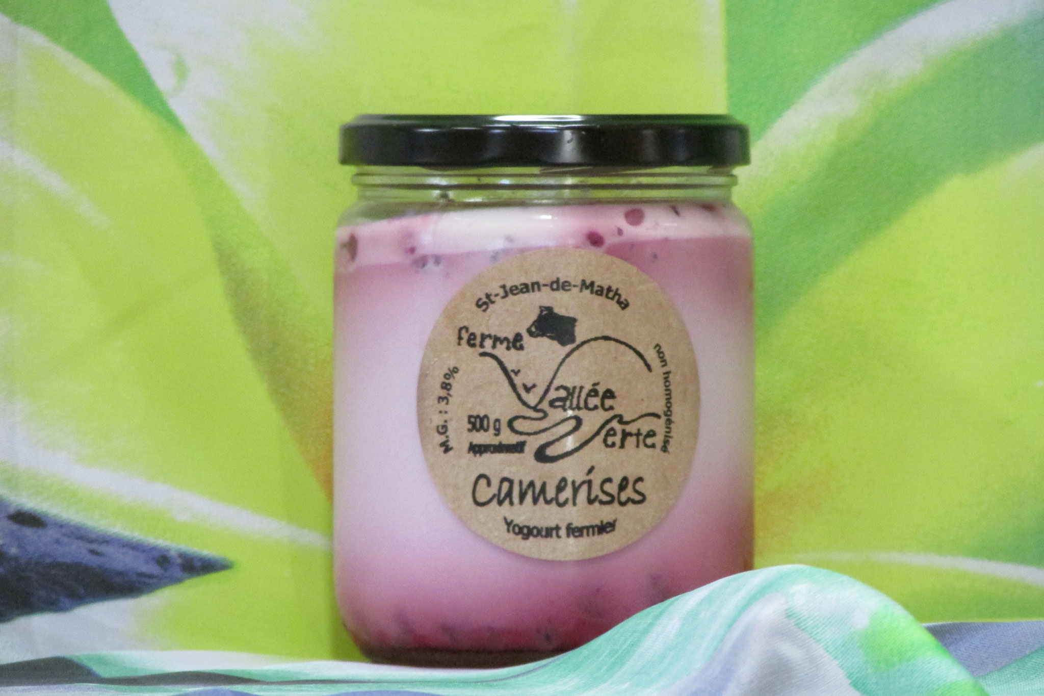 yogourt aux camerises (500gr)