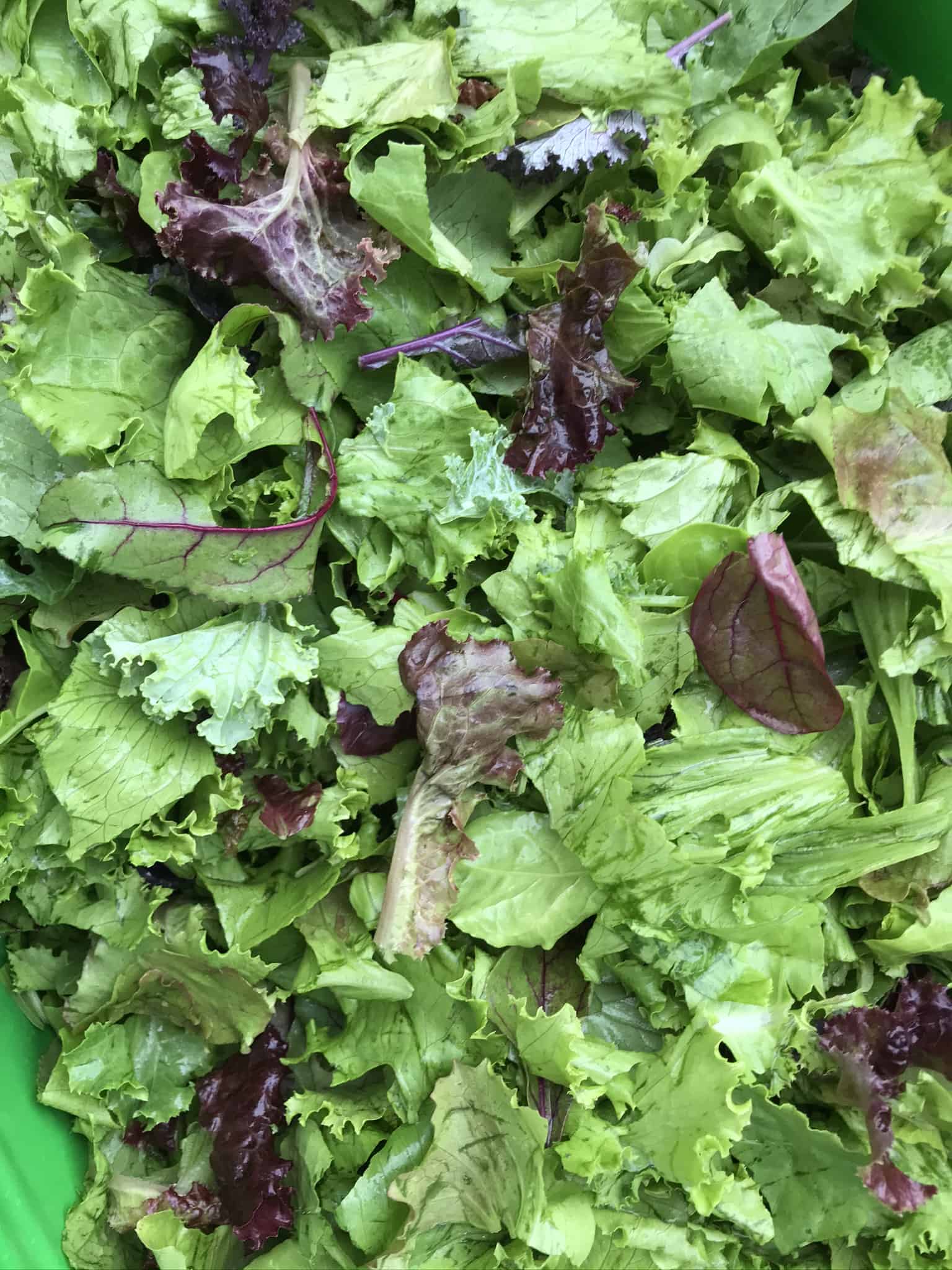 Mesclun (sac 200gr)