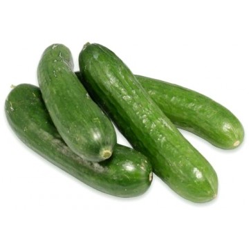 Concombres Libanais (454 gr)