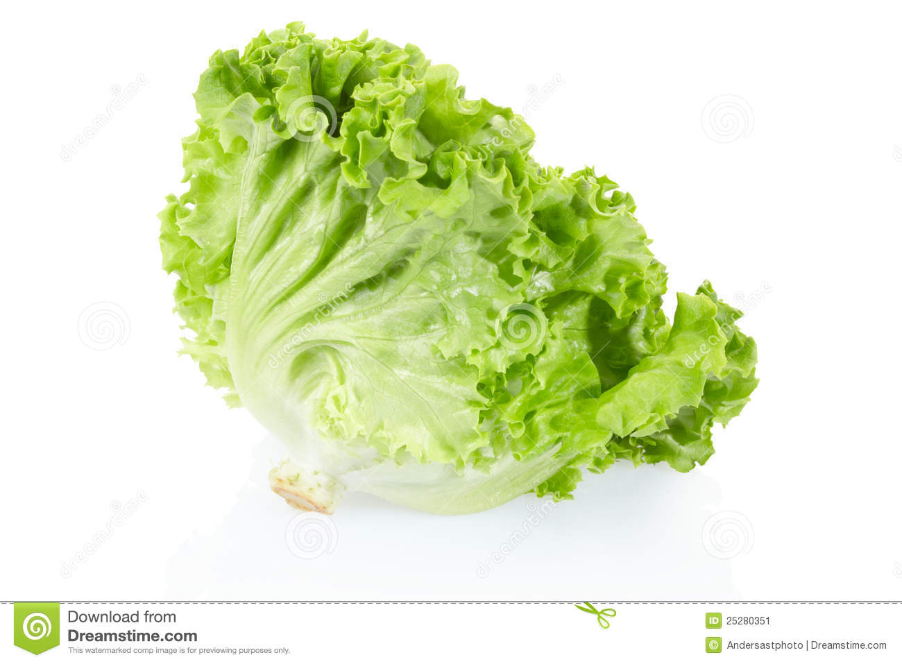 Laitue frisée verte (unité)