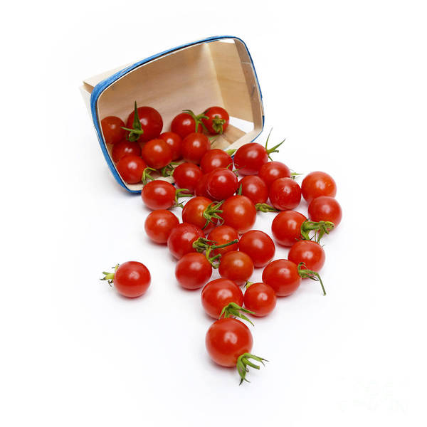 Tomates cocktail  (1 pinte)