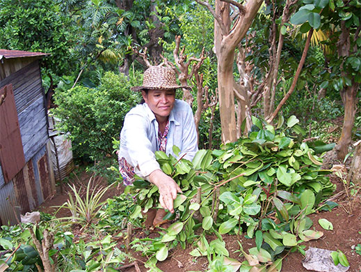 Bay St-Thomas (11 ml)