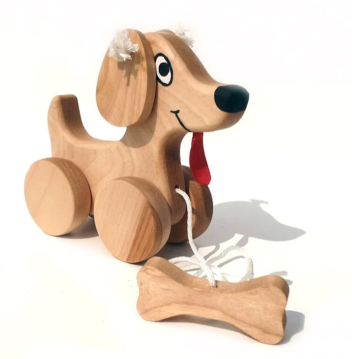 Chien a trainer