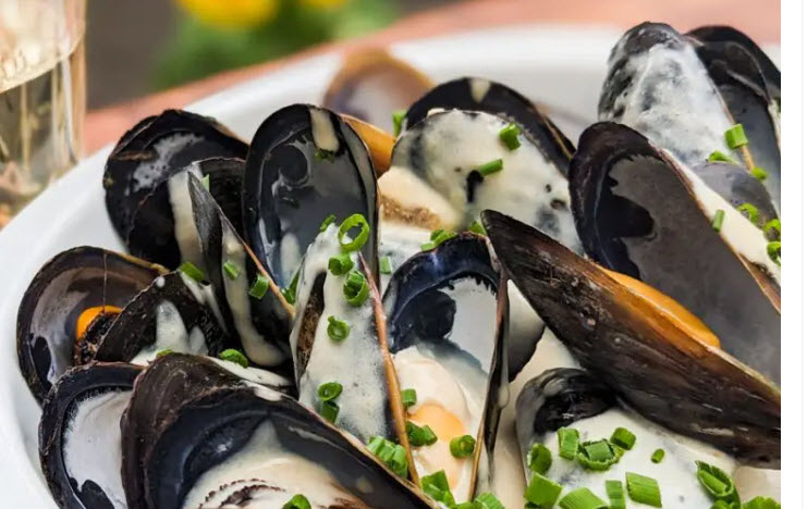 Moules bleue en coquille, prénettoyés (454 gr)