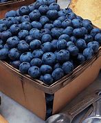 Bleuets congelées - Artisans des Hauteurs (1 kg)