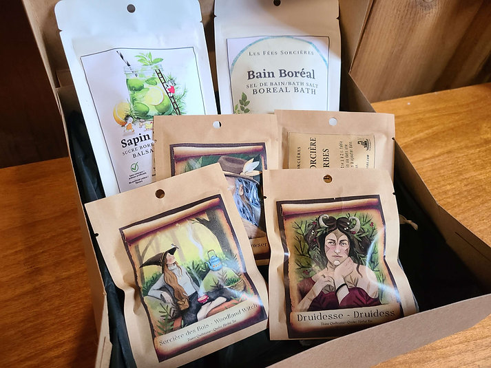 Boite foret boreale
