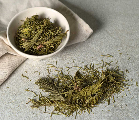 Sapin Baumier - épines (100 g)