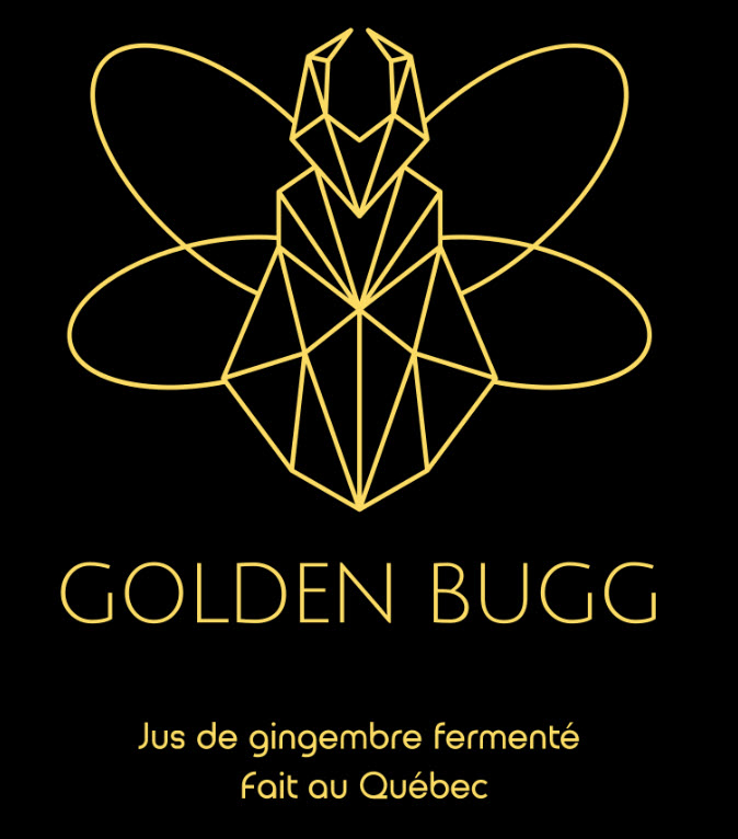 Boisson aux baies d'argousier et gingembre fermenté (300 ml)