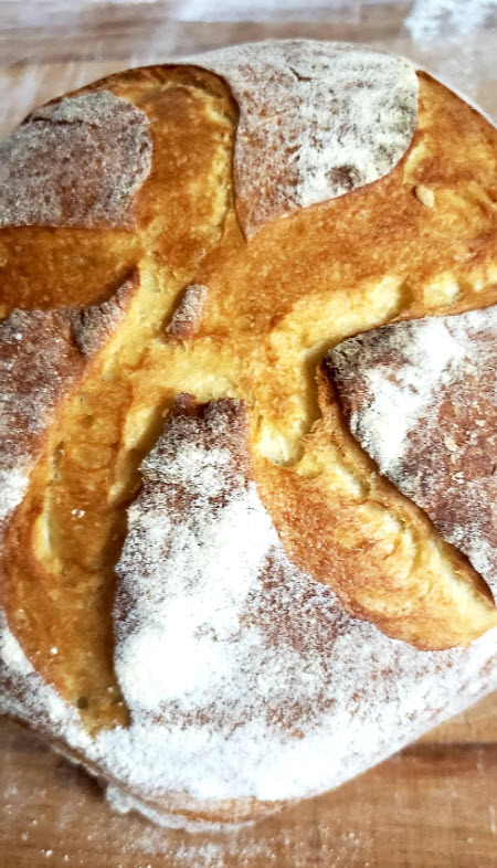 Miche l'Albert Kamut levain