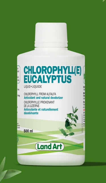 Chlorophylle liquide Eucalyptus (500 ml)