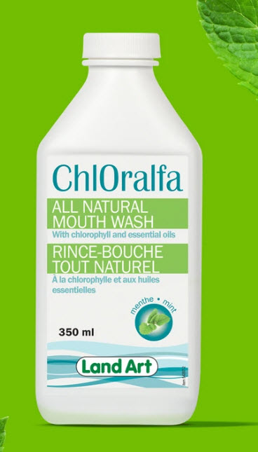 Rince bouche Menthe (350 ml)