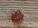 Bonbons à l'érable pur (100 g)