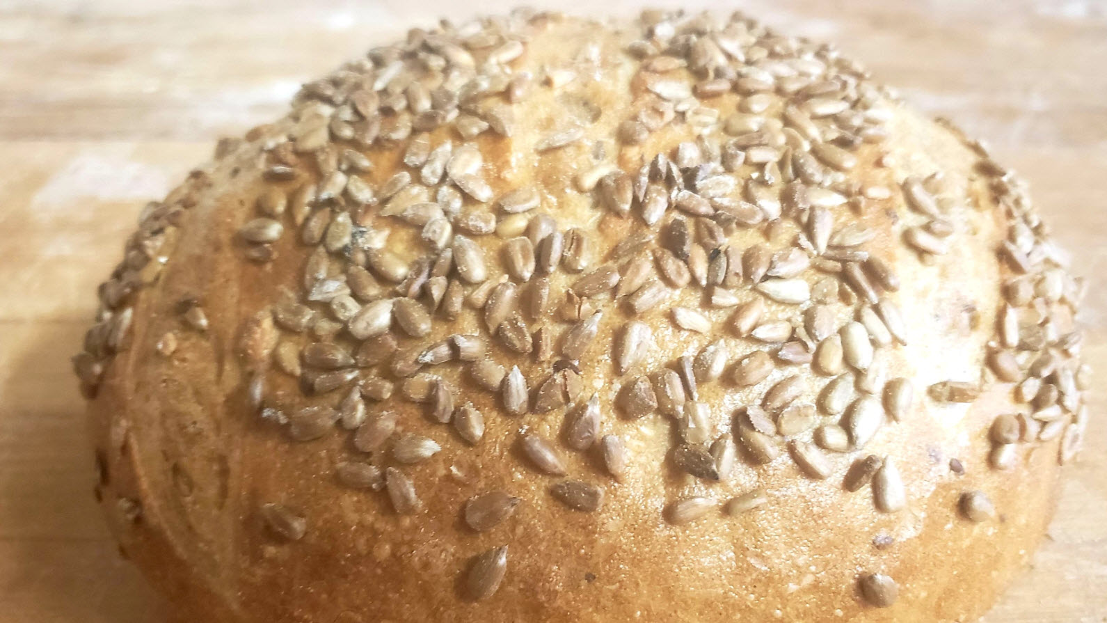 Miche lin et tournesol levain