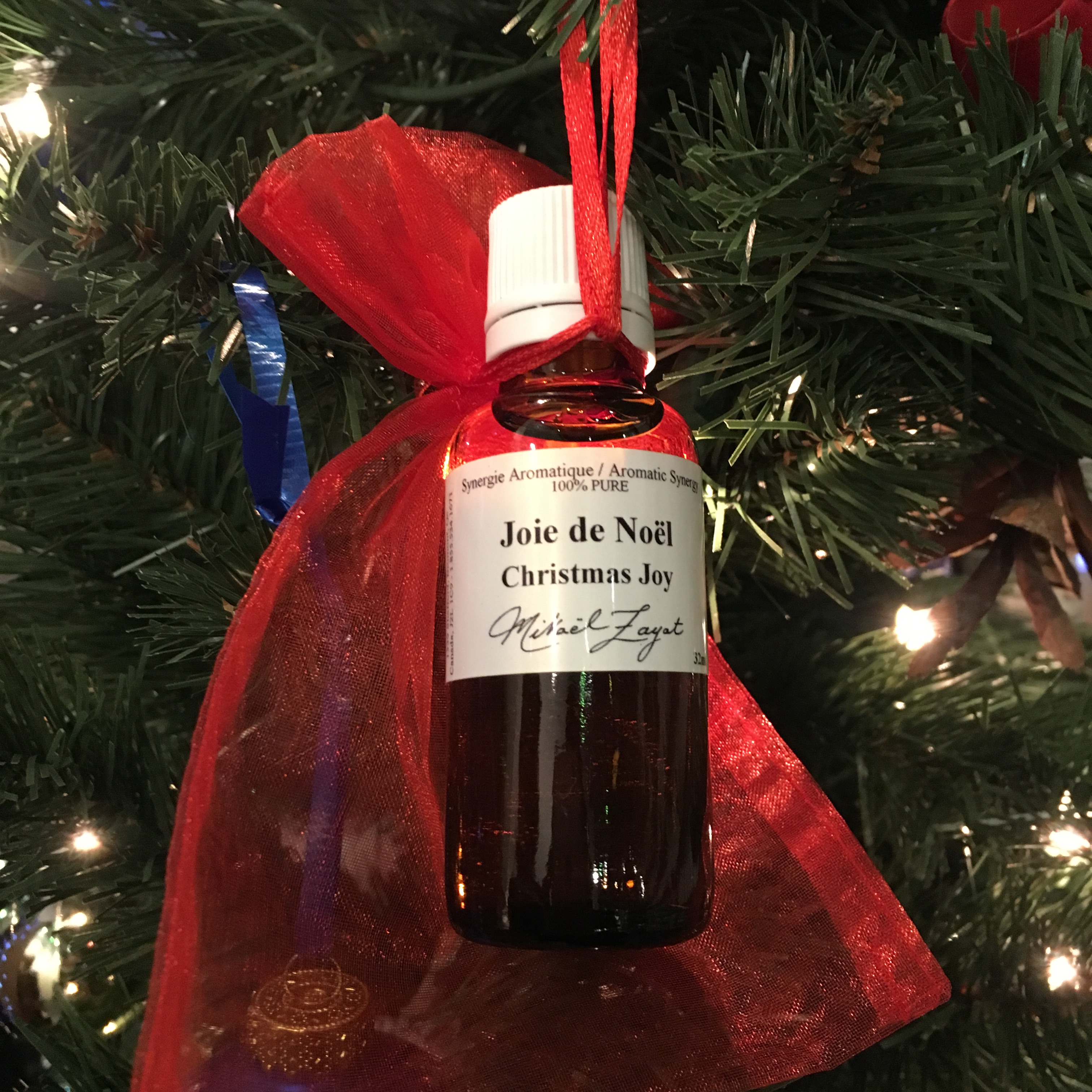 Joie de Noel (32 ml)