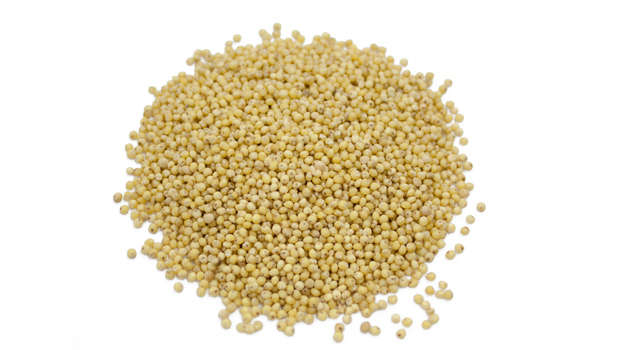 Millet décortiqué (100 g)