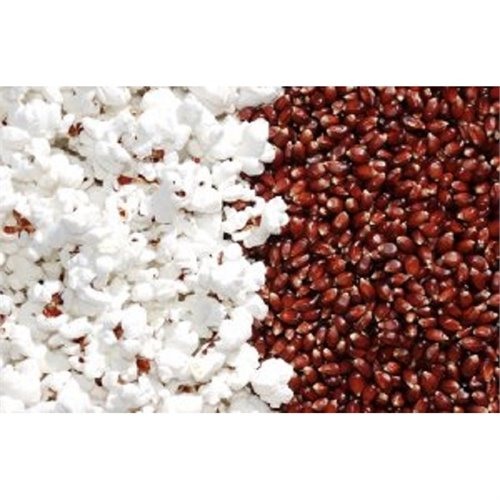 Maïs à éclater midnight special (100 g)