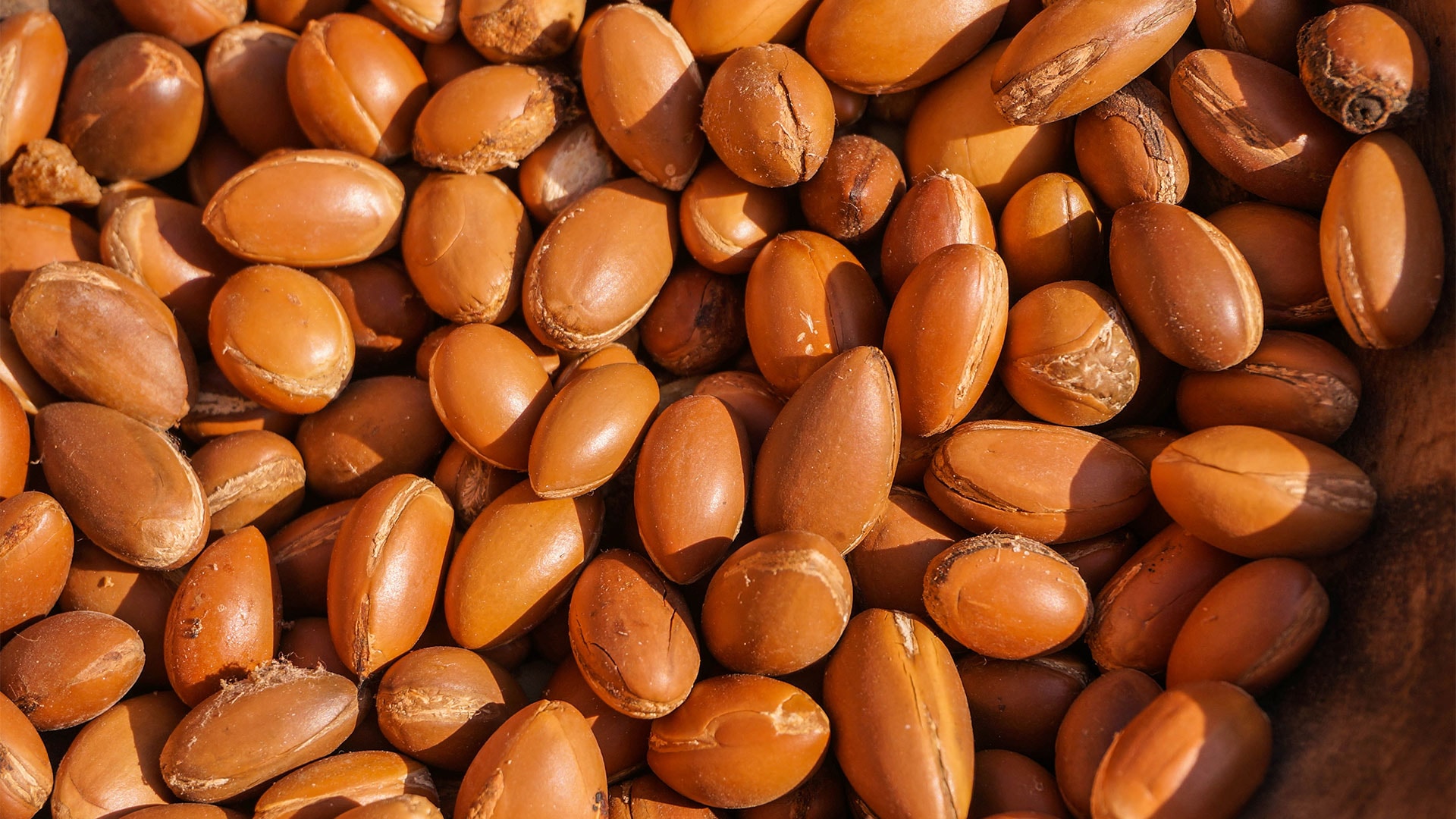 Huile d'argan (32 ml)