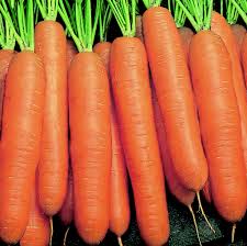 Carottes jumbo (lb)